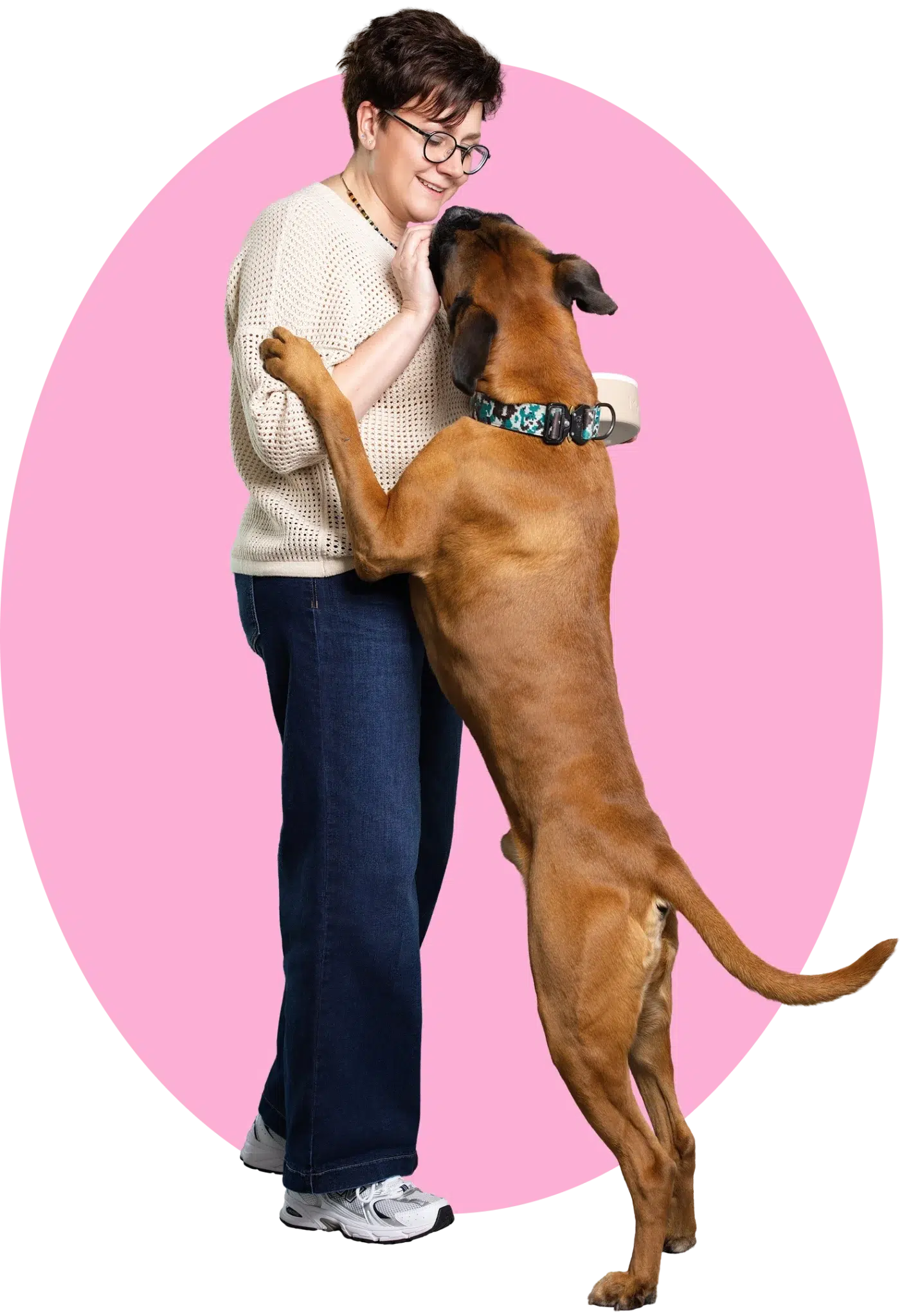 Fawnfarbener Boxer springt liebevoll an Hundetrainerin Silke von Deichpfoten hoch, pinkfarbener Hintergrund