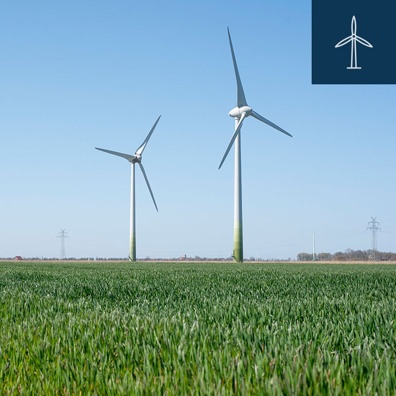 Hilke Looden Wahlprogramm Erneuerbare Energien